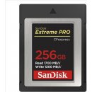 SanDisk 256GB SDCFE-256G-GN4NN