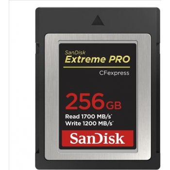 SanDisk 256GB SDCFE-256G-GN4NN