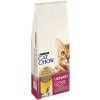 Purina Cat Chow Special Care Urinary Tract Health 15 kg