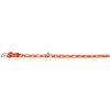 COLLAR Kožený obojok s hviezdami Glamour, 19-25cm/9mm, oranžová