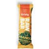 GRIZLY RAW Bar mango, makadam a čierne ríbezle, 55 g