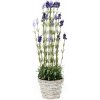 LEVANDULA V RATAN, KVETINÁČI(22*16CM) x23 78CM