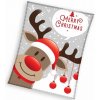 TIPTRADE Deka Mikroflanel vánoční deka Sob Rudolf 150x200
