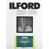 ILFORD MG FB CLASSIC 18x24 / 25 5K mat