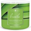 Goose Creek AROMATHERAPY LEMONGRASS & SAGE 410g