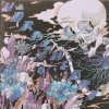 Shins - Worm's Heart / Vinyl [LP]