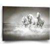Sablio Obraz Biele kone - 60x40 cm