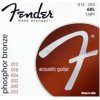 FENDER 073-0060-403 60L AKUSTICKÁ GTR.012-.053