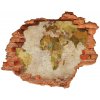 Foto fotografie diera na stenu Politická mapa 90x70 cm