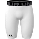 Under Armour HG Armour Lng Black