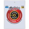 Martin Authentic Lifespan 2.0