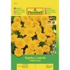 Aksamietnica 'Tagetes x Patula' kvetinové semená FloraSelf