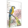 Vertikálny foto obraz akrylové sklo Papagáje a kvety 50x100 cm