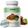 MycoMedica Chaga Extract, 500 mg, 90 rastlinných kapsúl