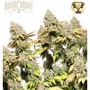 Seedstockers Superior Rucu Cucu OG Auto semienka neobsahujú THC 3 ks