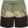 Pánske šortky do vody O'Neill, FRAME BLOCK SHORTS mix S