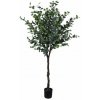 Strom Eukalyptus 210 cm