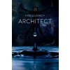 Frequency Architect (Beau Harlem)(Brožovaná)