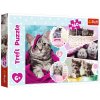 Trefl Puzzle Puzzle Roztomilé mačky - 160 ks, Trefl 15371