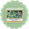 Yankee Candle vosk do aróma lampy Wild Mint 22 g