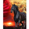 Diamantový obraz Kôň a západ slnka