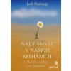 Najít smysl v našich selháních - Joël Pralong