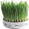 Keramická miska na trávu pre mačky 15x4cm, 50g trávne semeno