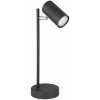 Globo 59710TG
