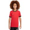 Nike Dri-Fit Academy 25 Jr FZ9758 657