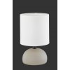 Trio Lighting R50351025