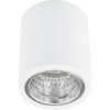 Spot JUPITER 10 GOLDLUX (Polux) DOWNLIGHT E27 stropné svietidlo s kovovou trubicou na povrchovú montáž