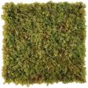 Shaggy moss green/brown, dielec 50 x 50 cm (Exkluzívna realistická imitácia machu - POŽIARNA TRIEDA B)