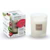 Esteban Paris Parfums NATURE – POMEGRANATE AND LIME VONNÁ SVIEČKA 180 g