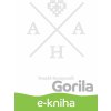 E-kniha AHA - Tomáš Kompaník
