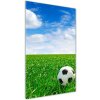 Vertikálny foto obraz sklenený Futbal na lúke 50x100 cm