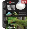 Žárovka REPTI PLANET Daylight Frosted 50 W