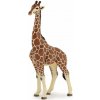 Figúrka PAPO Žirafa samec (50149)