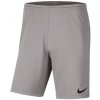 Kraťasy Nike Park III Knit Jr BV6865-017 - 164 cm