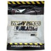 Hi Tec Whey Mass Builder 3000 g