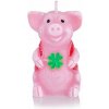 BARTEK Candles Prasiatko 70g