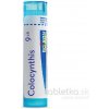 Colocynthis gra.1 x 4 g 9CH
