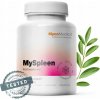 Myspleen 90 kapsúl MycoMedica
