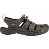 Keen NEWPORT M bison 45