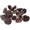Sušené Lotosové kvety 6–8 cm 1 kg - prírodné