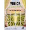 Vinice vo Francúzsku - Julie Caplin