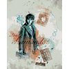 Zuty - Koláž mlok scamander (fantastická zvířata), 40×50 cm, vypnuté plátno na rám (8596530206293)