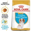 ROYAL CANIN Cavalier King Charles Puppy 1,5 kg granule pre šteňa gavalieršpaniela