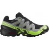 Pánska bežecká obuv Salomon Speedcross 6 Gore-Tex Black/Alloy/Green Gecko UK 12