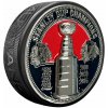 Mustang Puk Chicago Blackhawks NHL Ultra 3D Stanley Cup Medallion