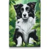 Vymalujsisam.sk Maľovanie podľa čísiel - Šteniatko border kólie Veľkosť: 40x60cm, Rám: Bez rámu, iba zrolované plátno